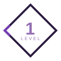 Level 1