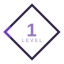 Level 1