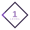 Level 1