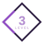 Level 3