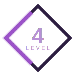 Level 4