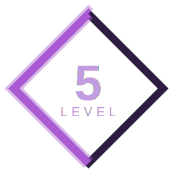 Level 5