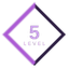Level 5