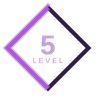 Level 5