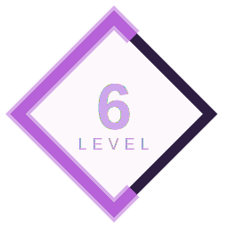 Level 6